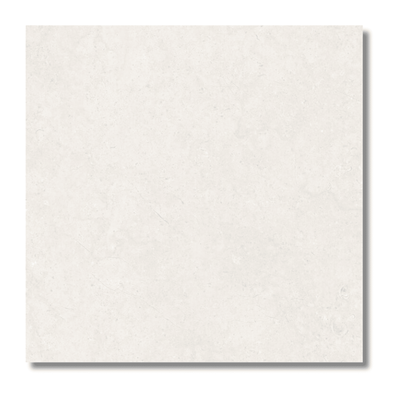 Dual White porcelain look ceramic tiles white tone