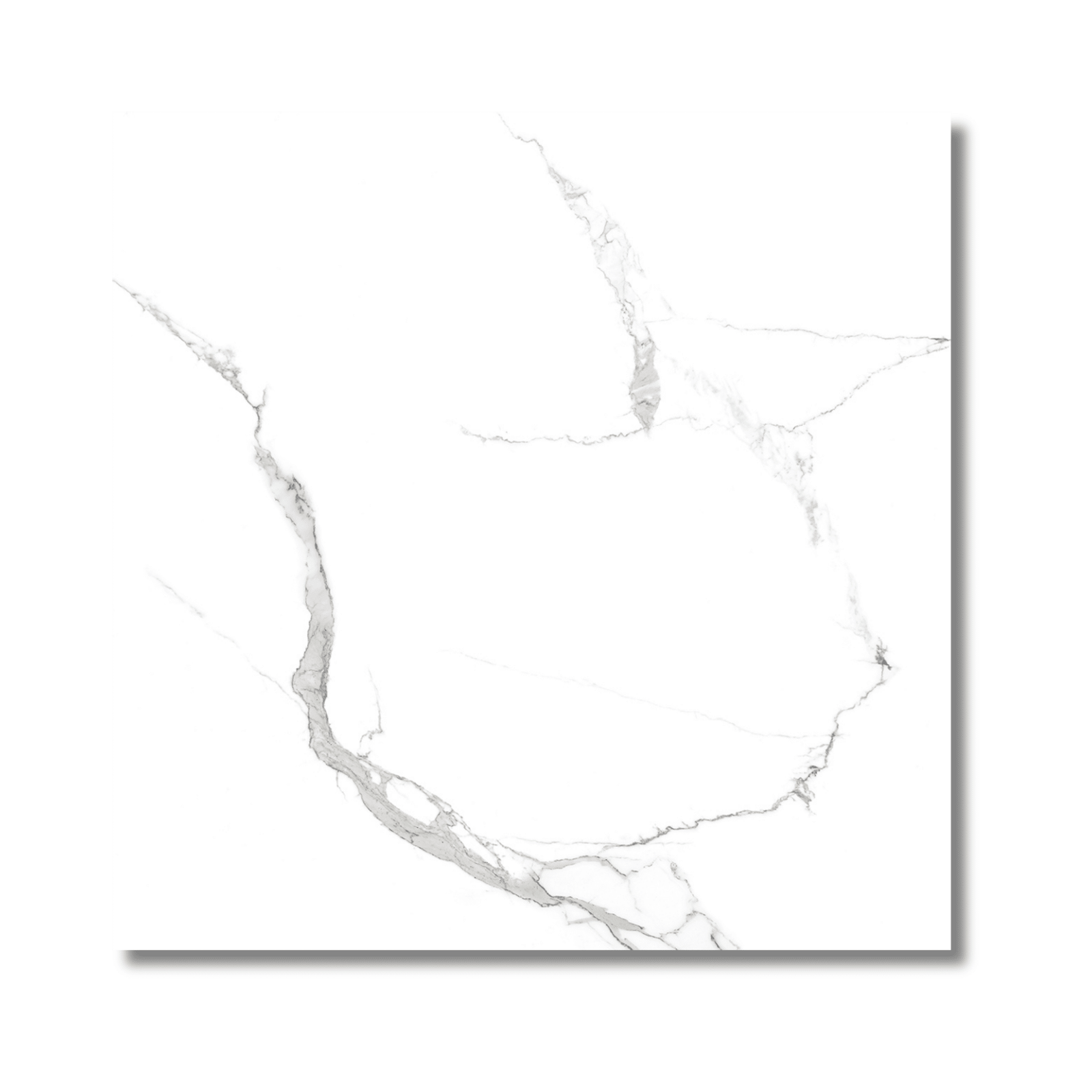 Kashmir White polished porcelain wall tile