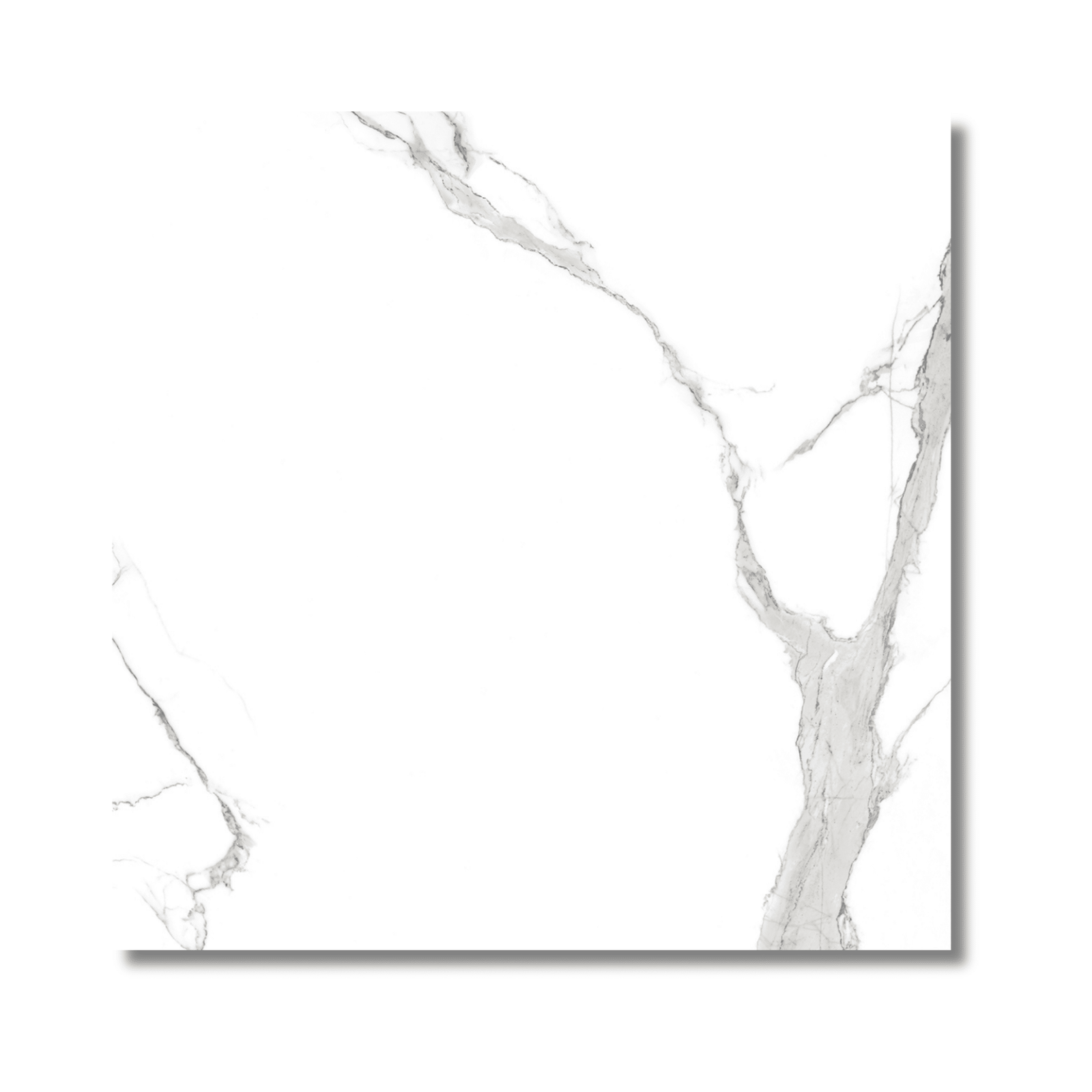 Large format 1200x1200 glossy white tile