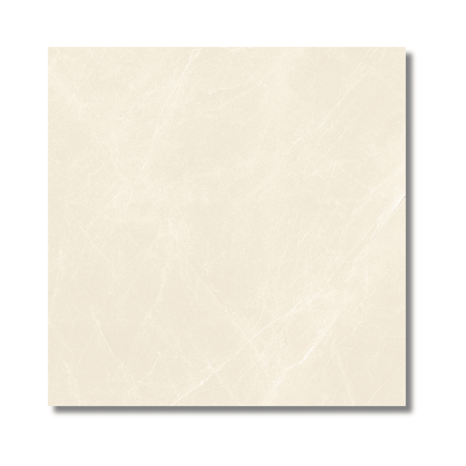 Moonlight Ivory matt porcelain tile