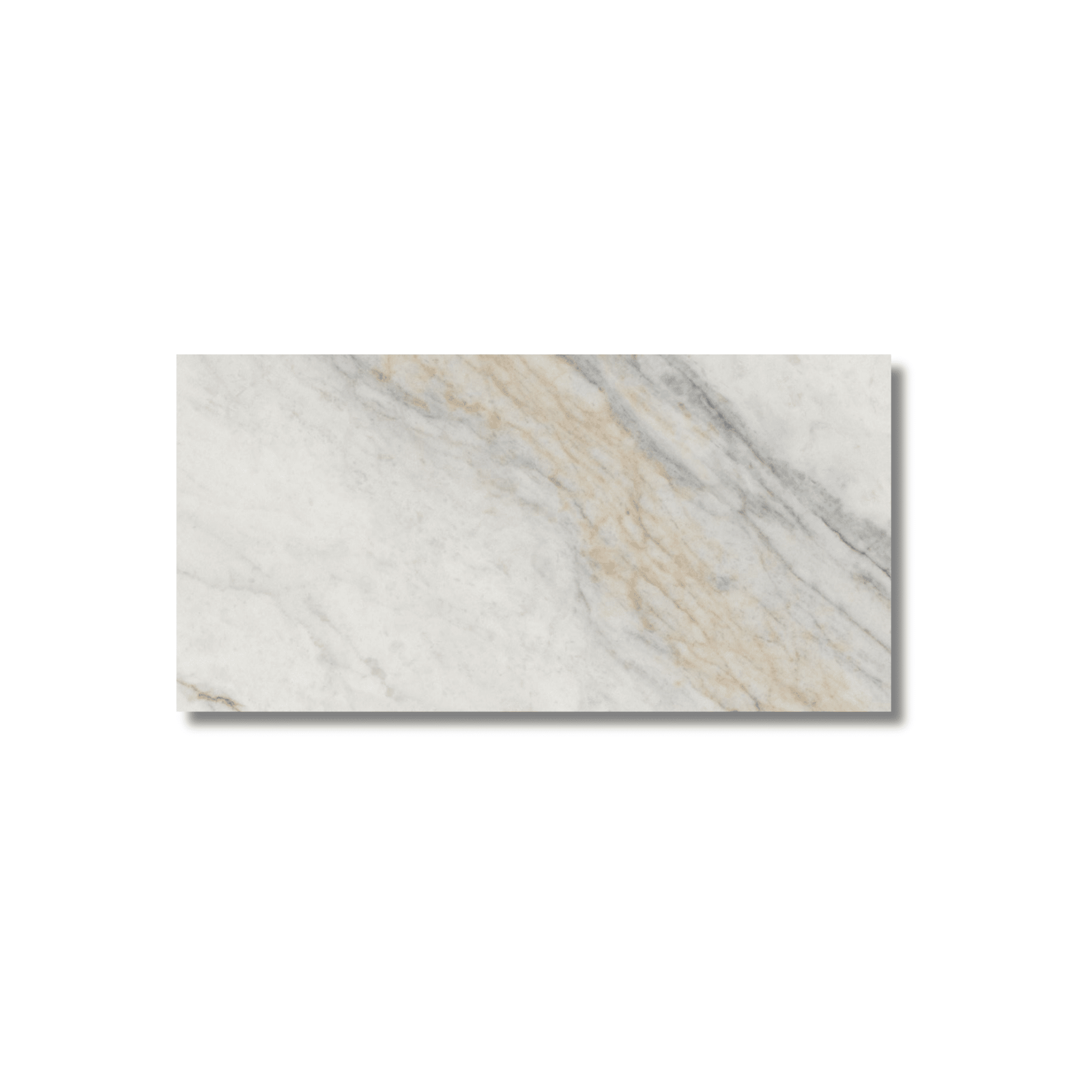Modern Placia Bianco porcelain surface