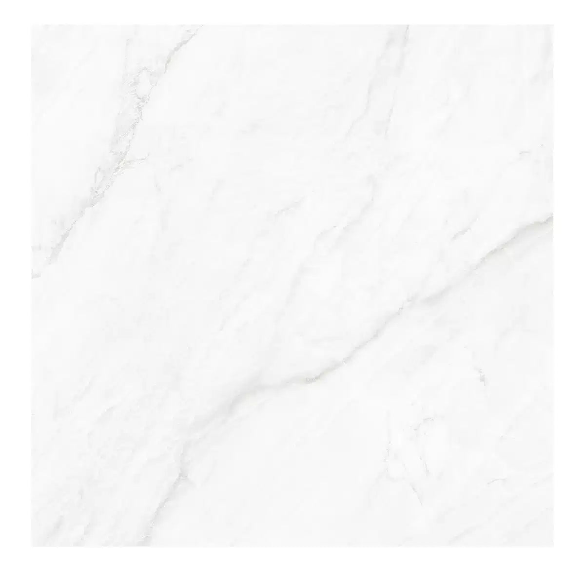 Basil White Polished