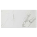 Alaska Satuario Grey 300X600 Polished Marble Effect Porcelain Tile - Main