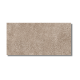 Contemporary bathroom wall and floor using grey porcelain tiles