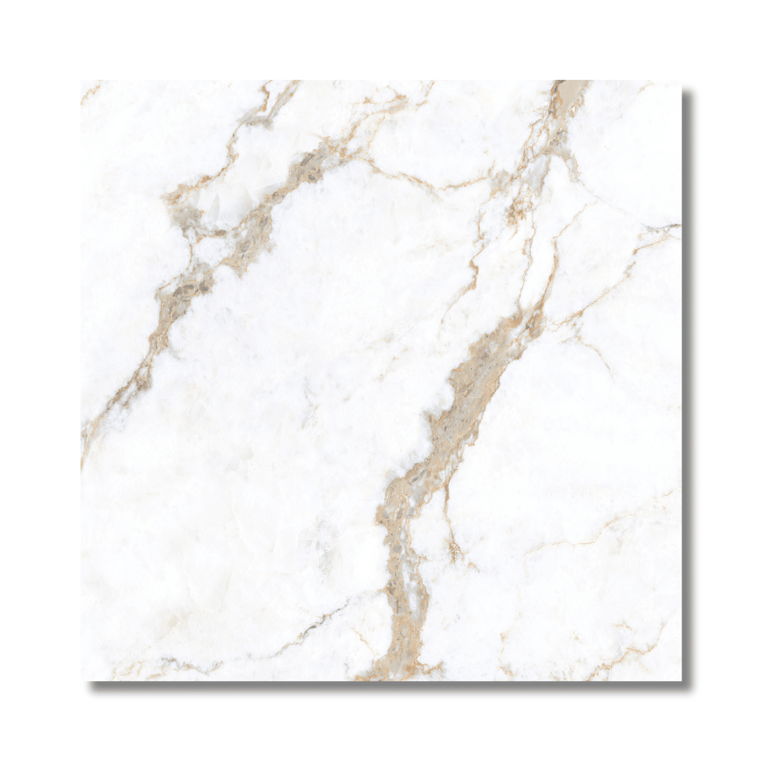Elegant Calcatta porcelain tile design