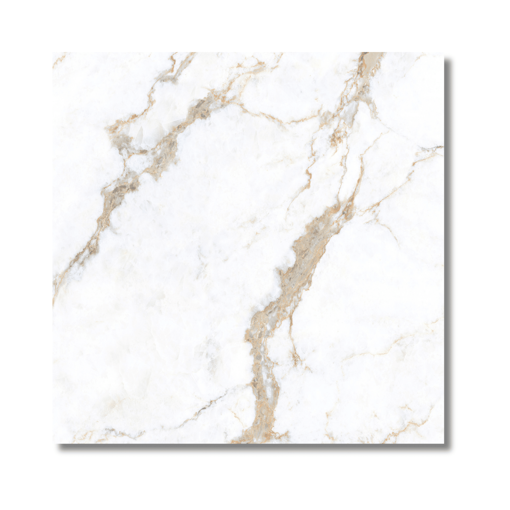 Elegant Calcatta porcelain tile design