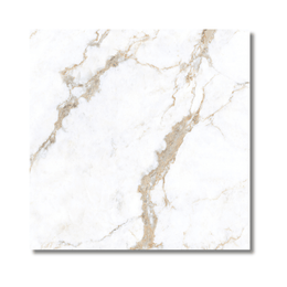 Elegant Calcatta porcelain tile design