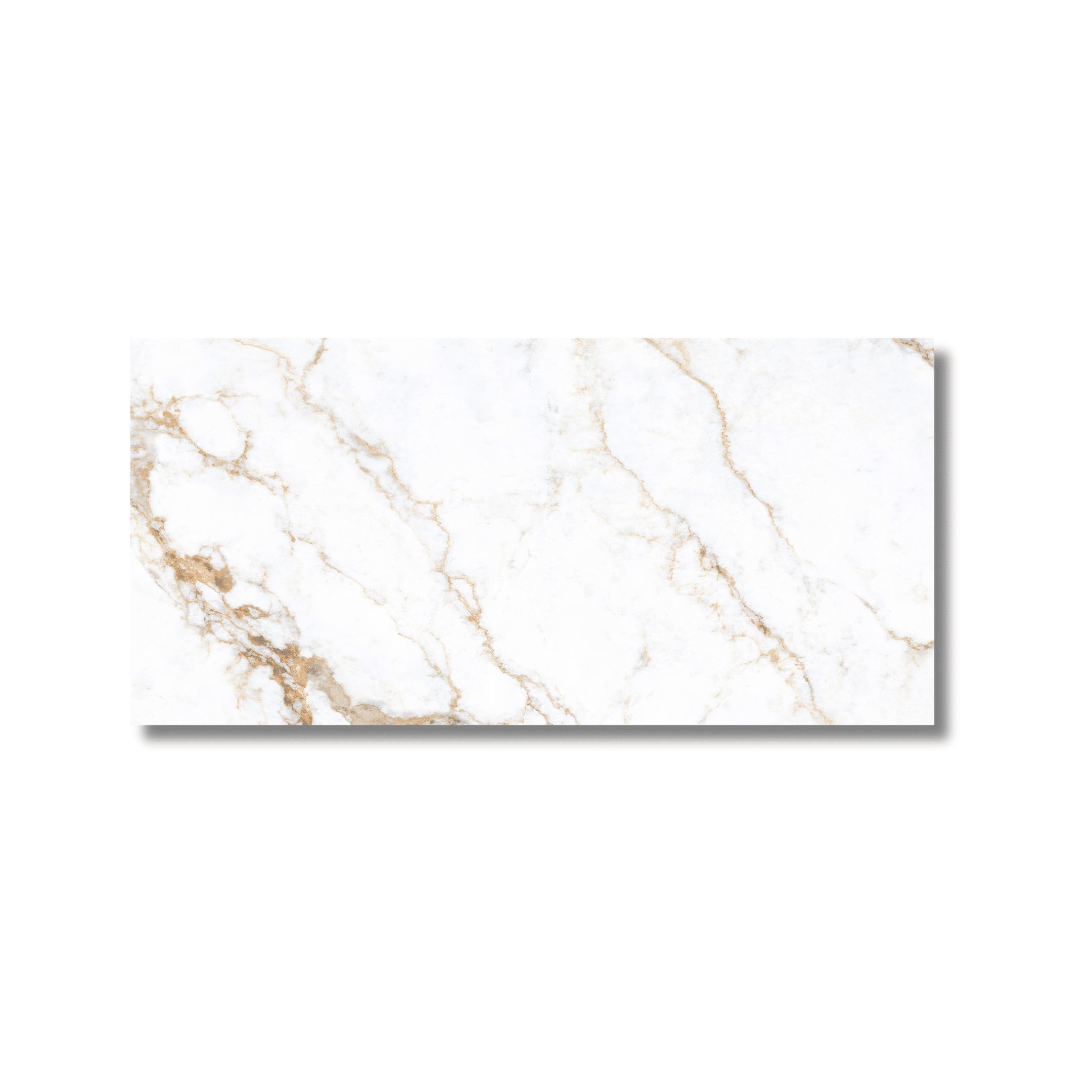 Calcatta gloss tile for living room