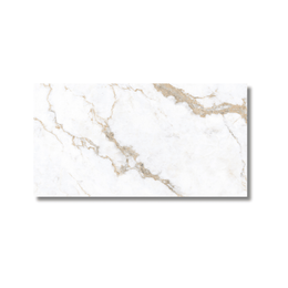 Large format Calcatta gloss tile
