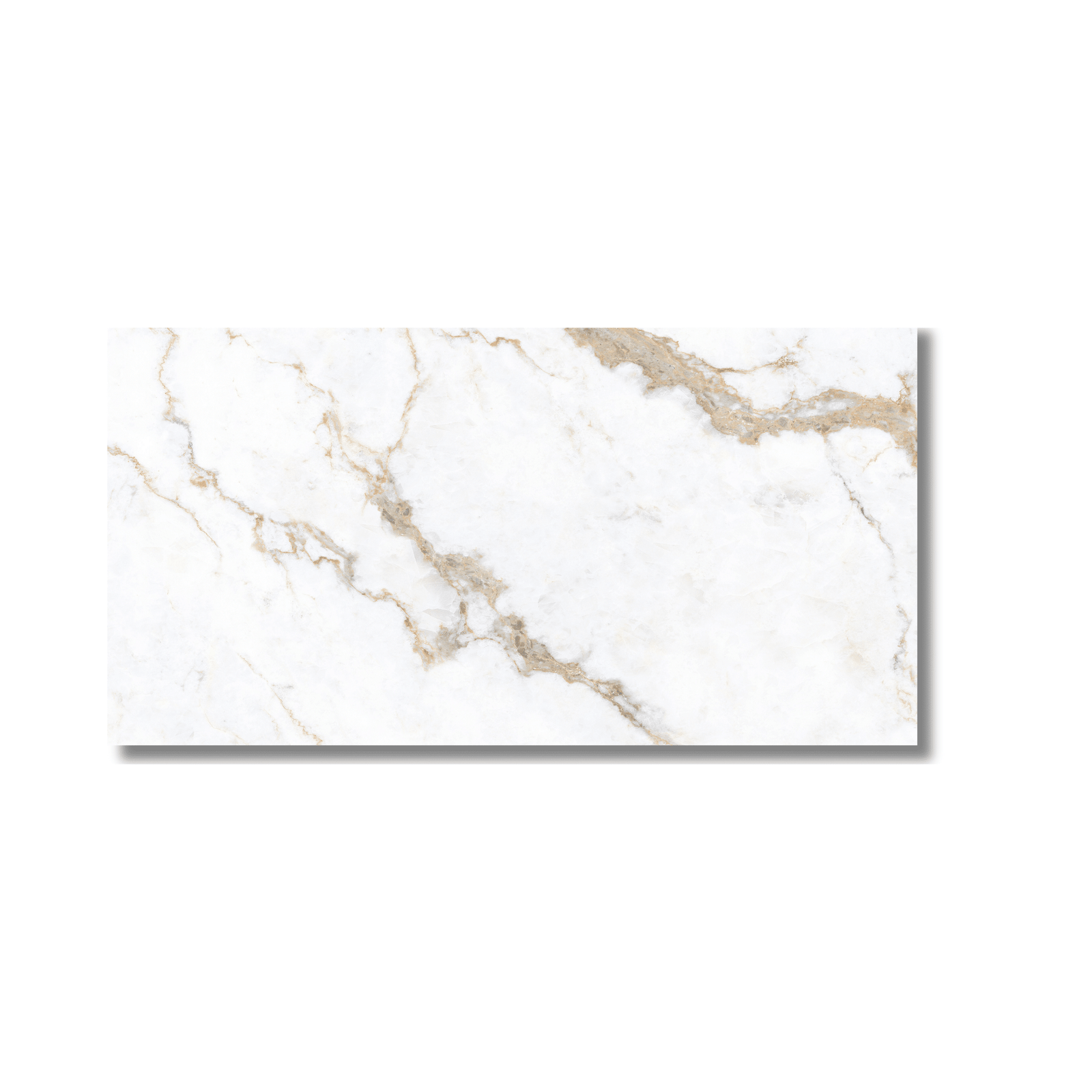 Calcatta Texture matt porcelain tile 600x1200