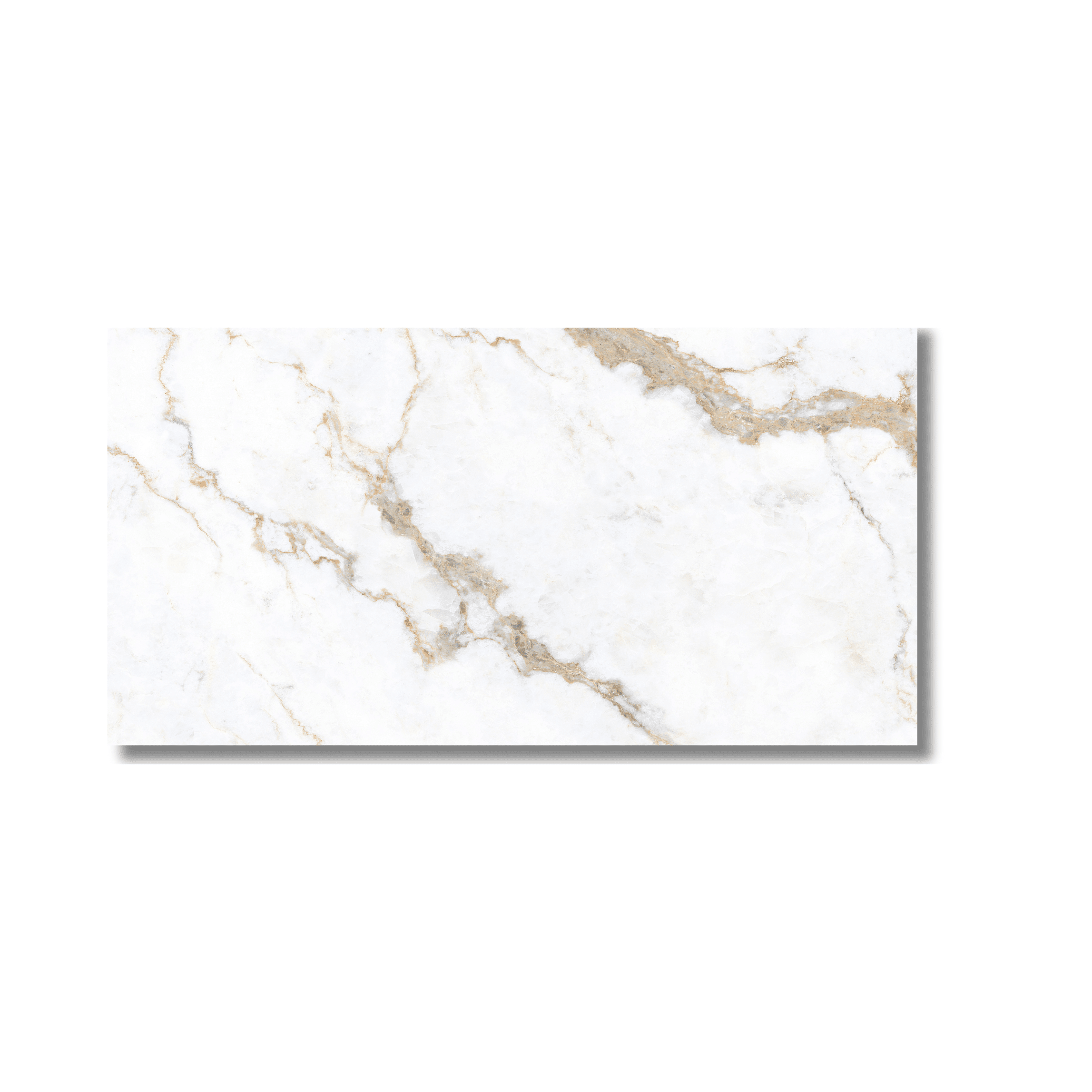 Calcatta Texture matt porcelain tile 600x1200