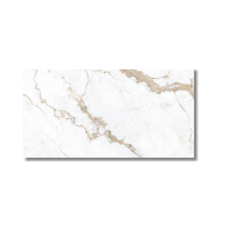 Calcatta Texture matt porcelain tile 600x1200