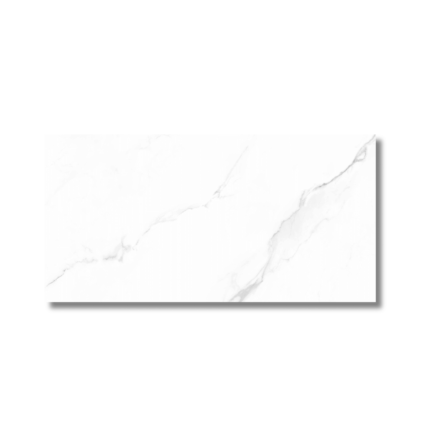 Modern white matt porcelain tile