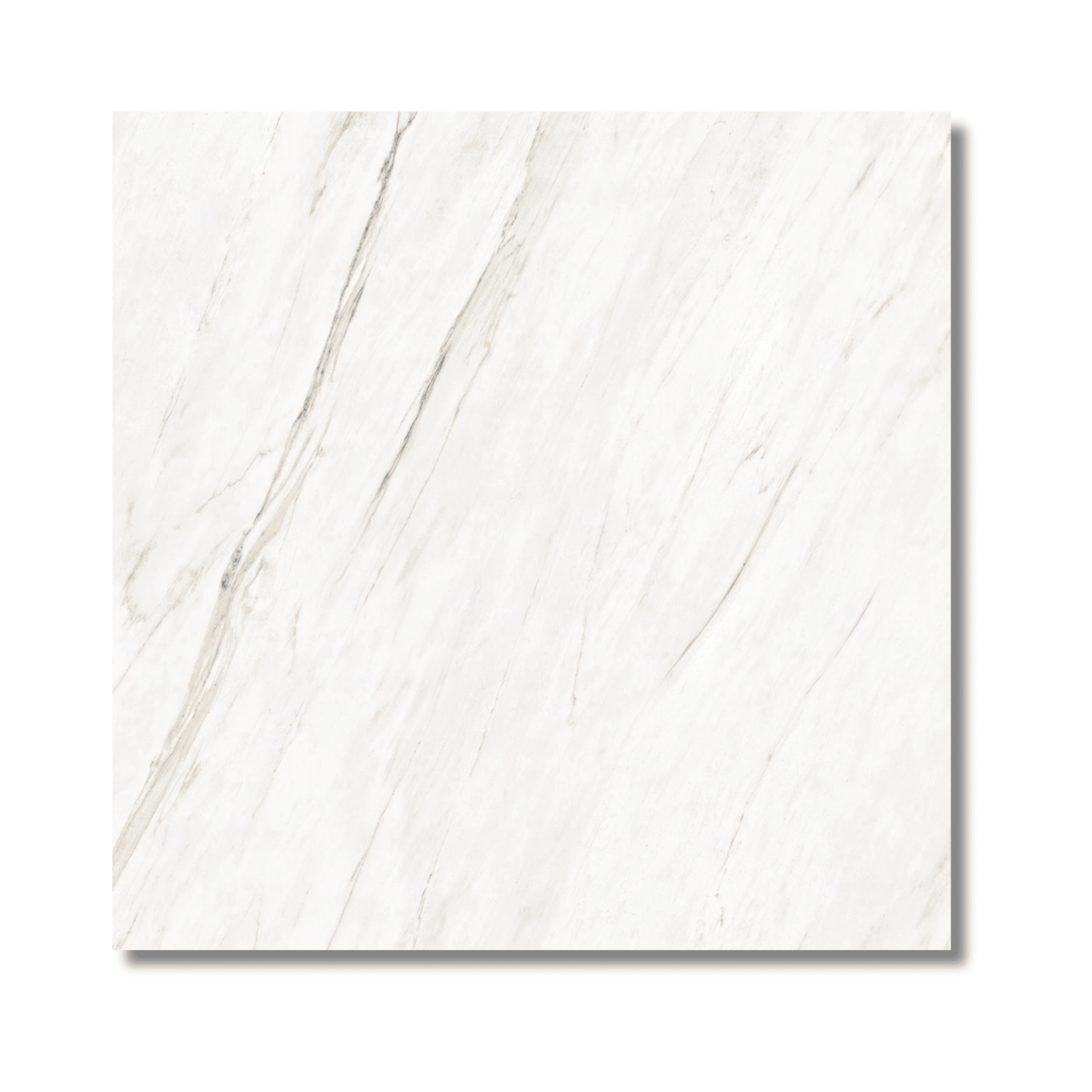 Gloss floor tile Cavallo design