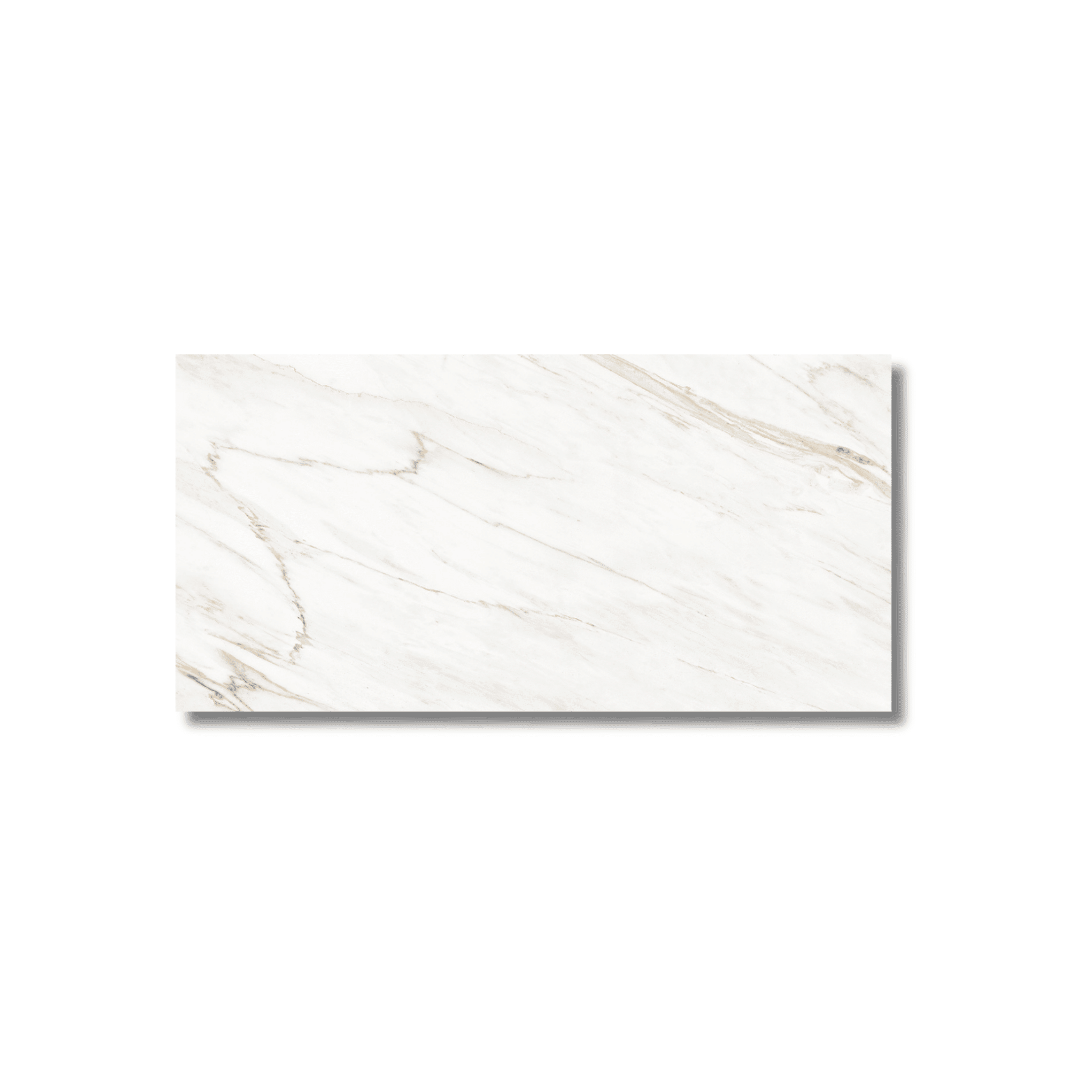 Cavallo gloss tile close-up finish