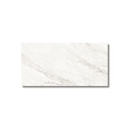 Luxury Cavallo white gloss tile surface