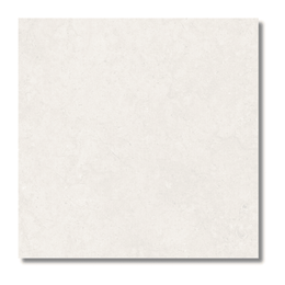 Dual White porcelain look ceramic tiles white tone