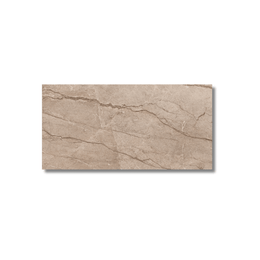 Modern gloss porcelain tile Forest Brown