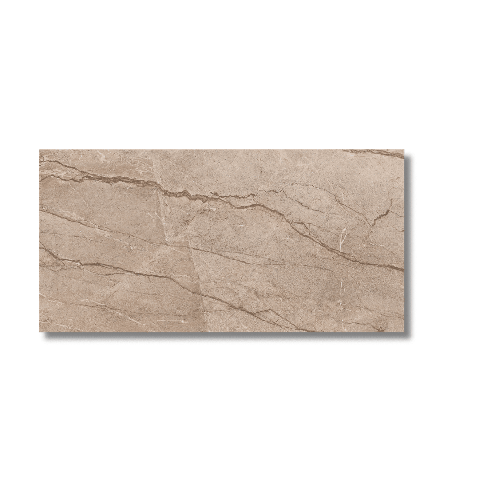 Forest Brown porcelain wall tile 600x1200