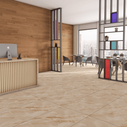 Elegant matt finish porcelain wall tile