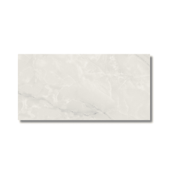 Modern grey porcelain tile matt finish