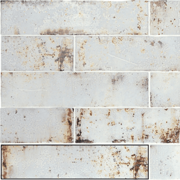 Decorative ceramic wall tiles