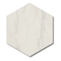 Veyrona Hexagon White matt porcelain wall tiles