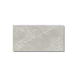 Grey porcelain tile 600x1200 mm