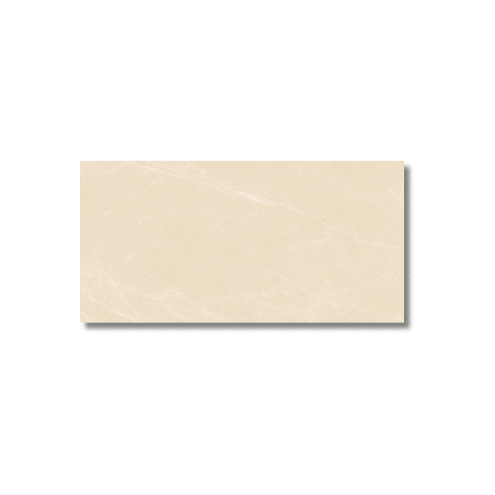 Neutral matt porcelain wall and floor tile