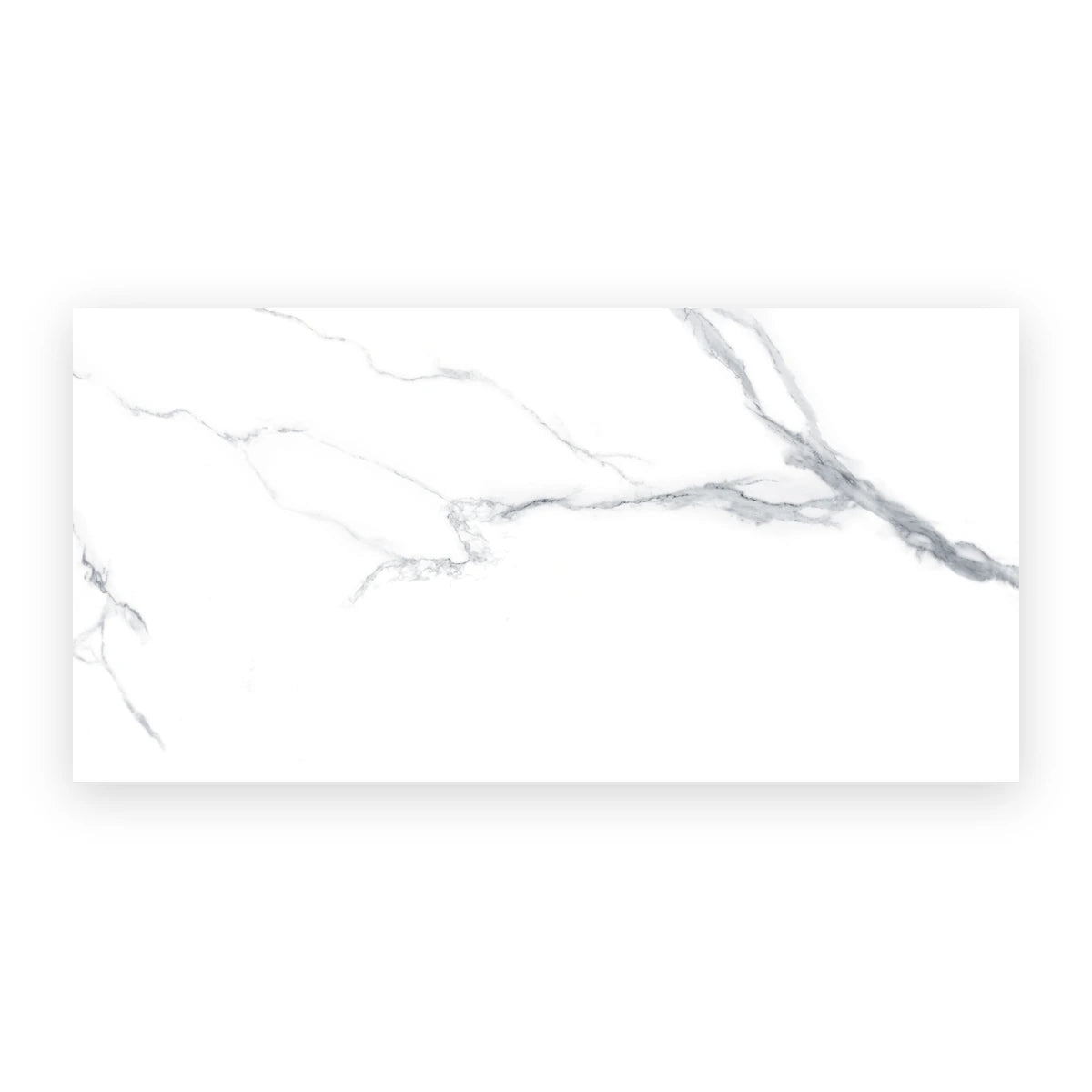 White marble look porcelain wall and floor tile surface