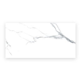 White marble look porcelain wall and floor tile surface