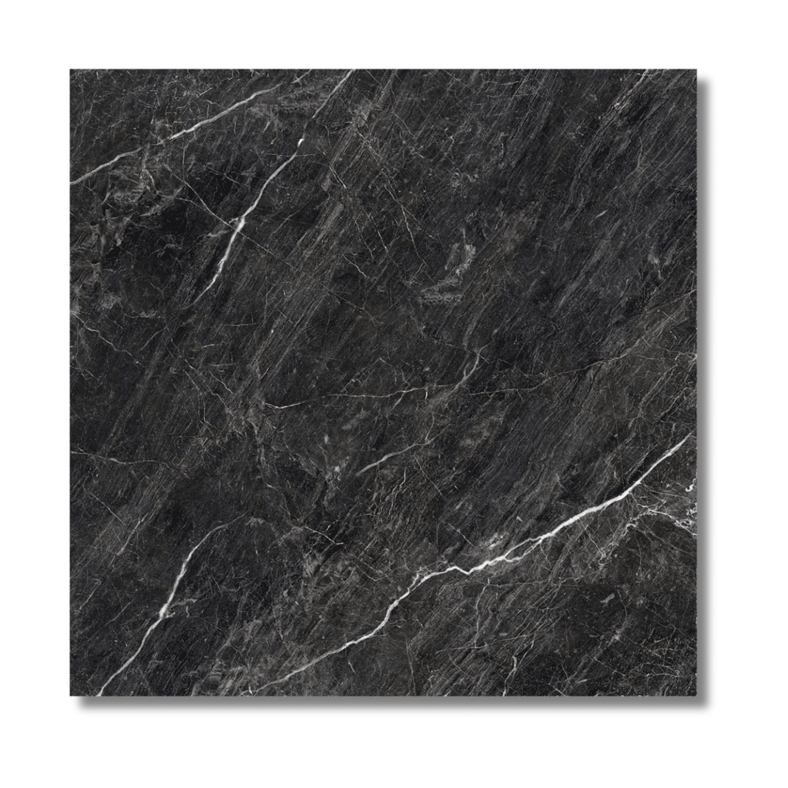 Zeus Midnight Black polished tile close-up