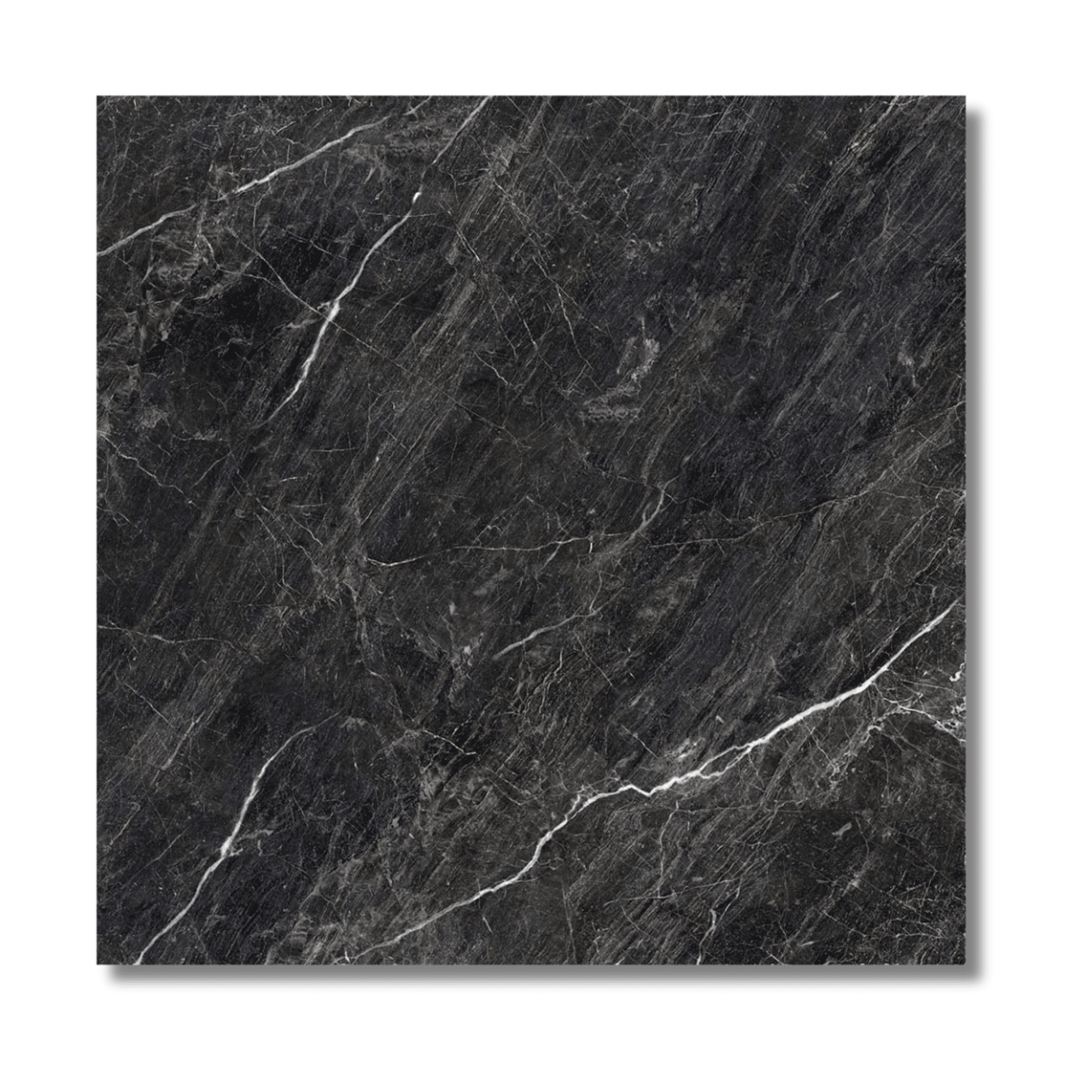 Zeus Midnight Black polished tile close-up