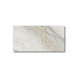 Modern Placia Bianco porcelain surface
