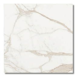 Matt finish porcelain tiles showing warm beige wood pattern