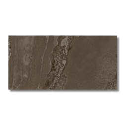 Contemporary brown metallic porcelain tile wall and floor