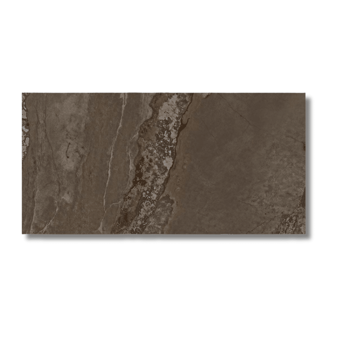 Contemporary brown metallic porcelain tile wall and floor