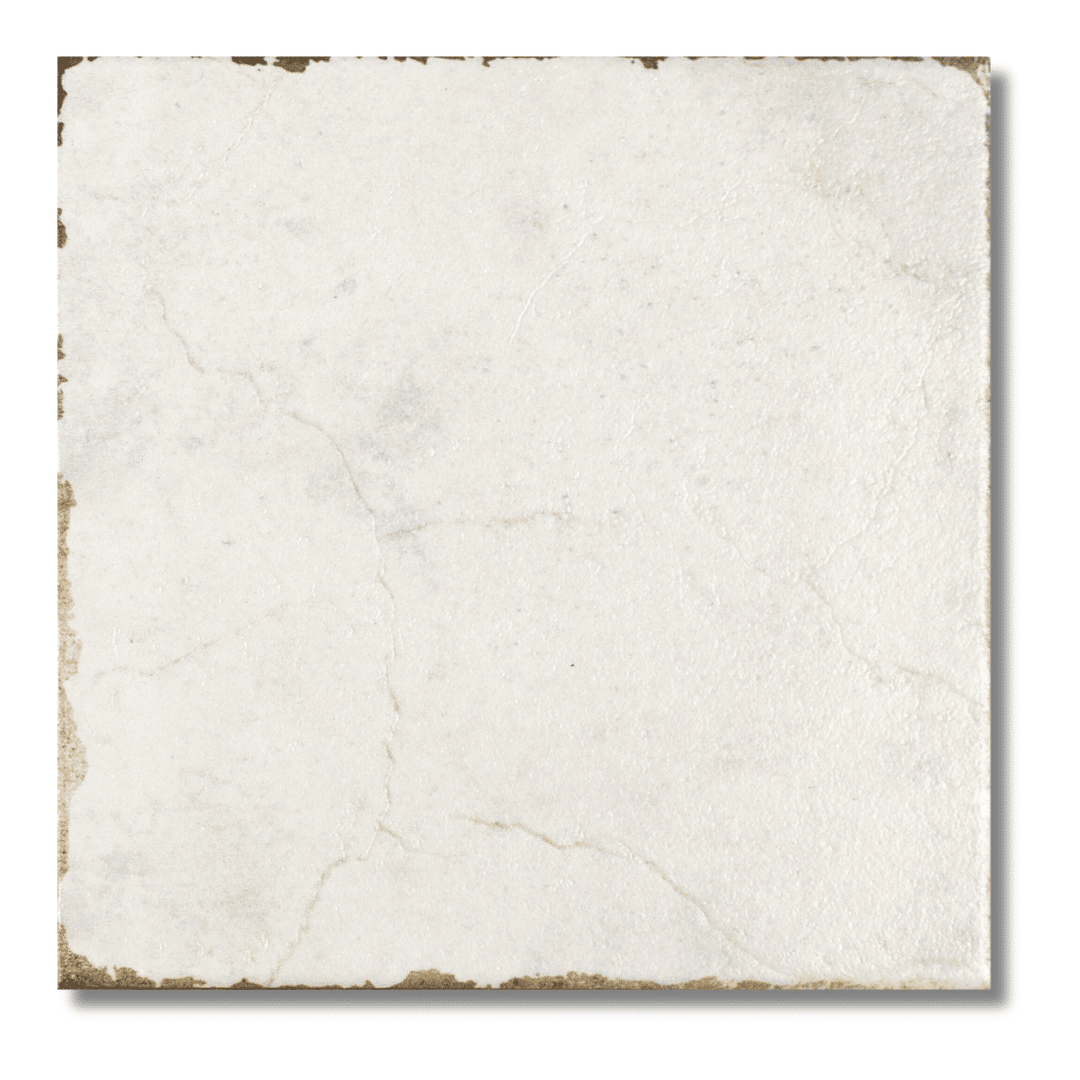 Savonia Binaco white matt porcelain decor wall tiles