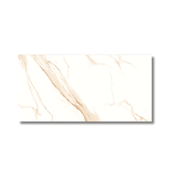 Large format 600x1200 porcelain tile