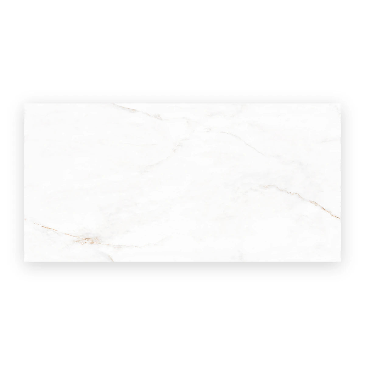 Elegant white porcelain wall and floor tiles with marble design