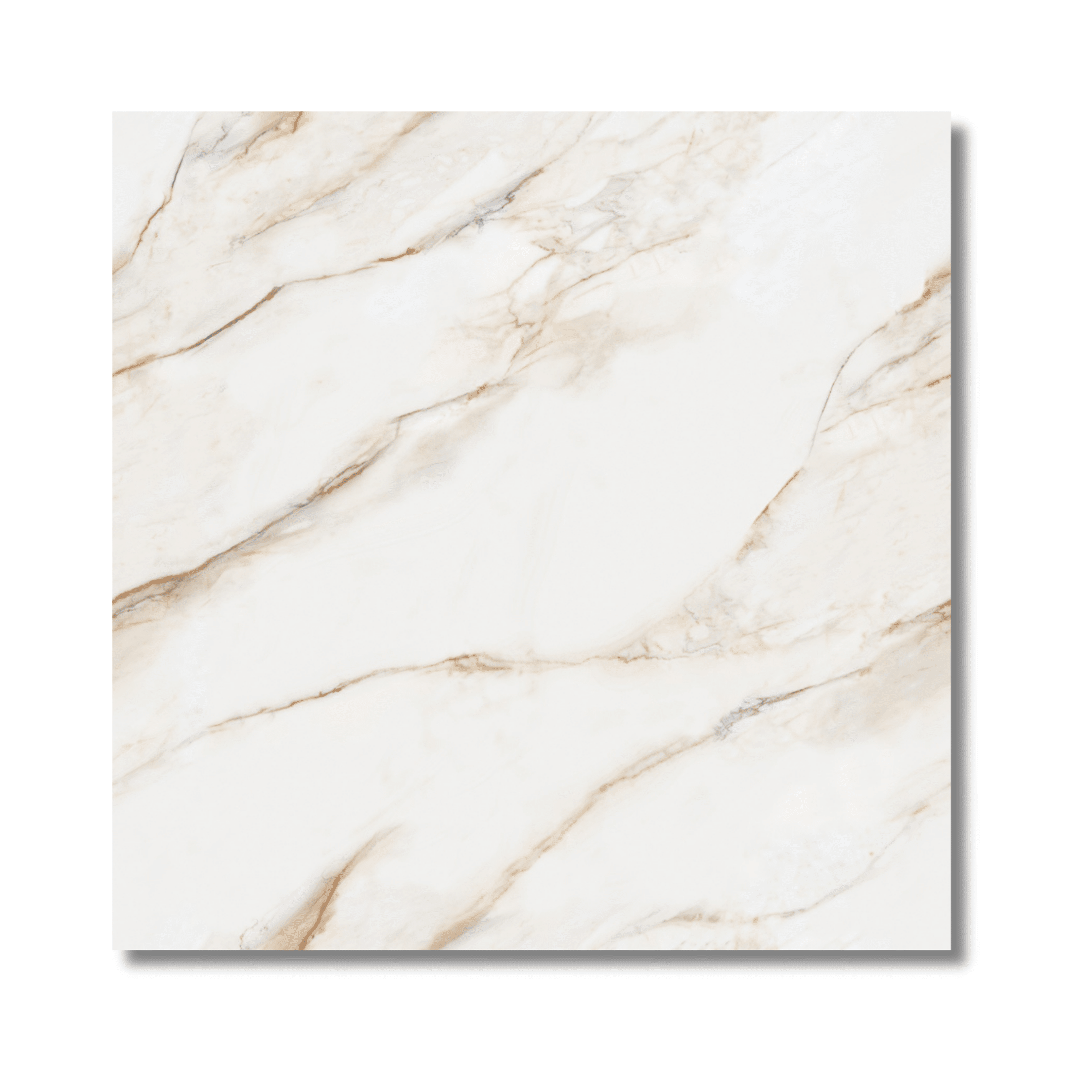 Modern beige gloss porcelain flooring