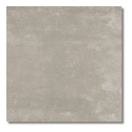 Forest Light Beige Matt Tiles