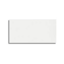 Ultra White Matt Rectified 300x600 wall tile