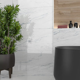 Dreamblue White Polished