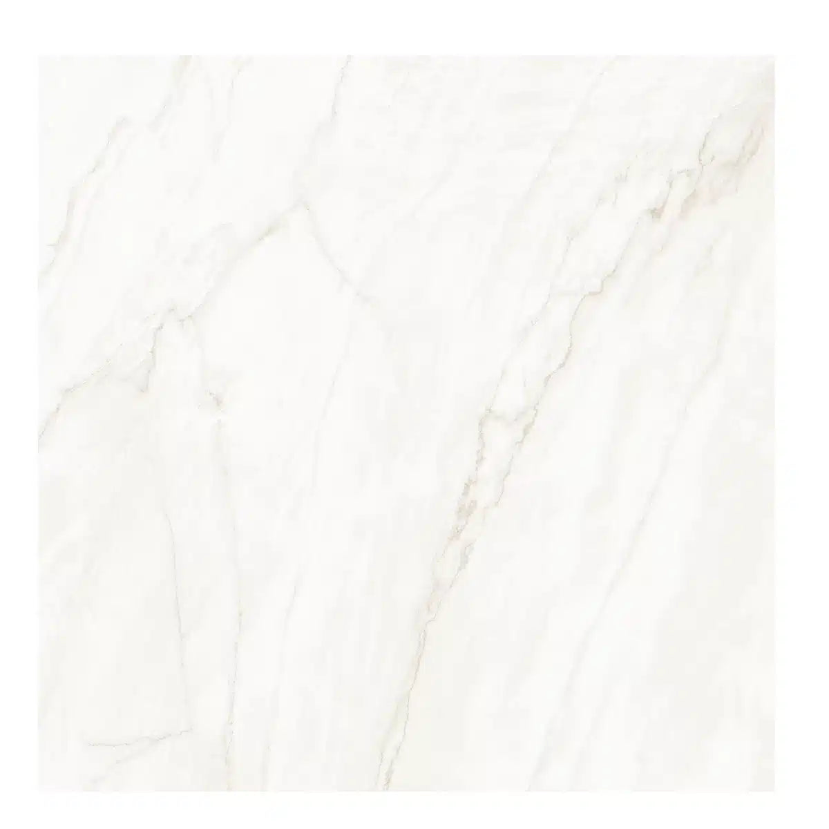 Basil White Polished