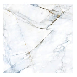 basil white porcelin tiles living room